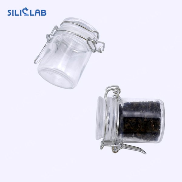 BIG GLASS STORAGE JAR